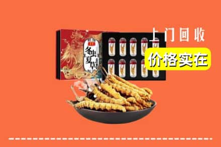 昆明盘龙区回收冬虫夏草