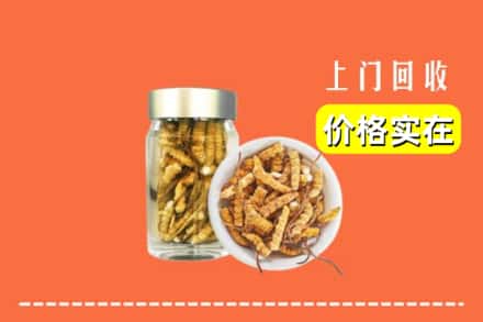 昆明盘龙区回收散虫草