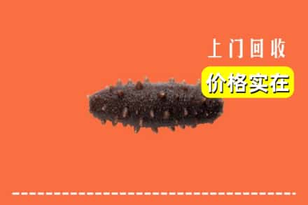 昆明盘龙区回收海参